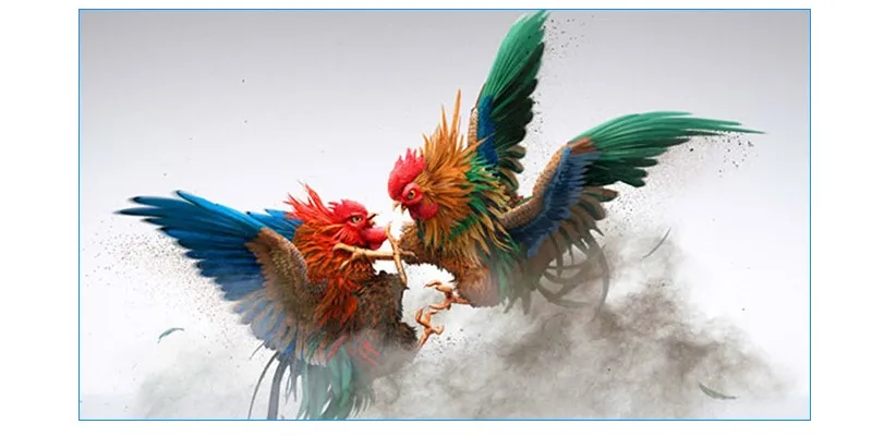 Chiến thuật chơi