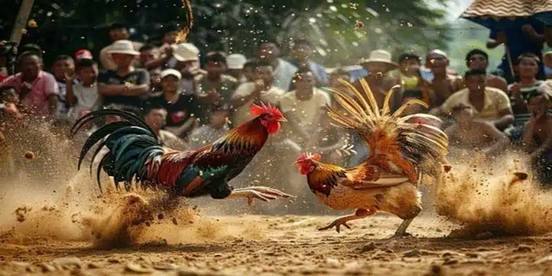 Phân tích trận đấu